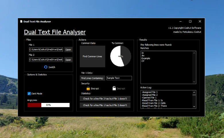 Dual Text-File Analiser