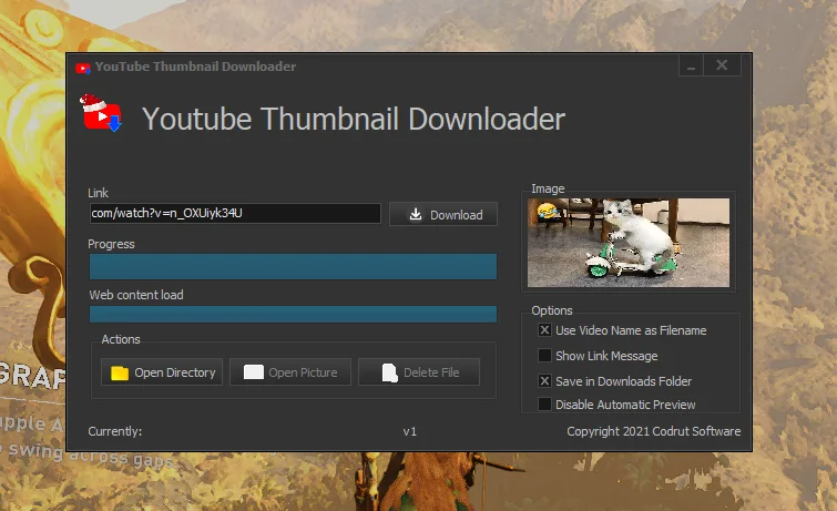 Youtube Image Downloader